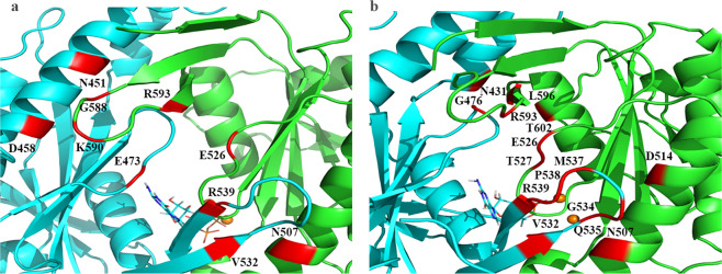 Figure 7