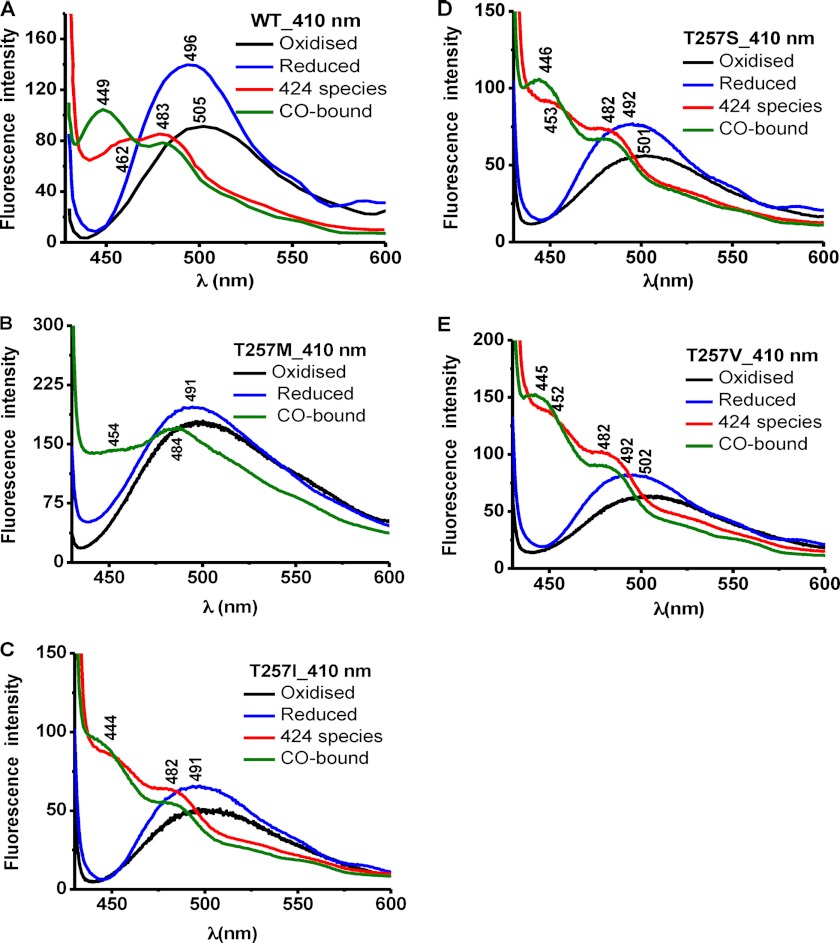 FIGURE 4.