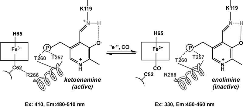 SCHEME 1.