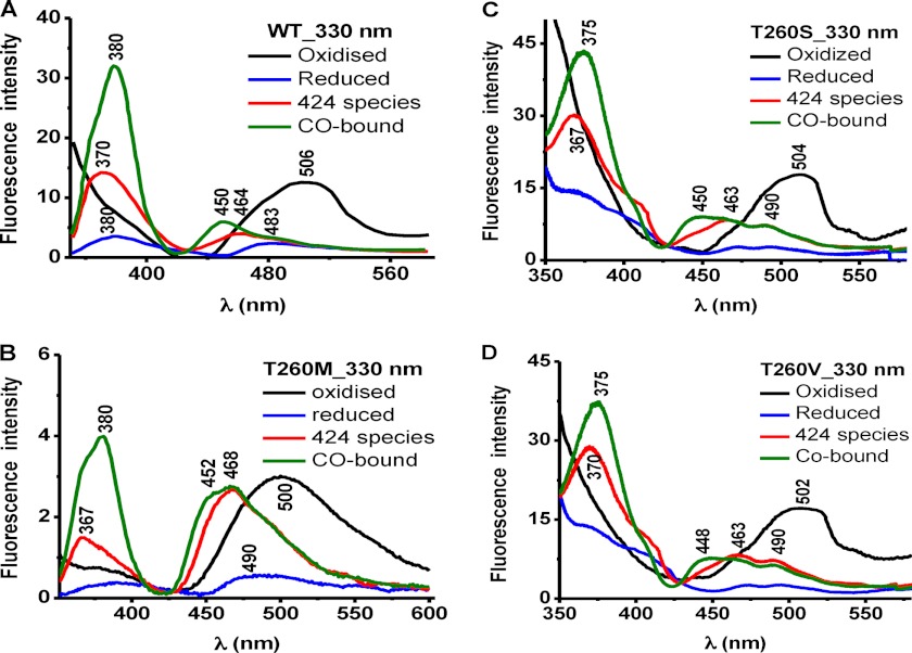 FIGURE 5.