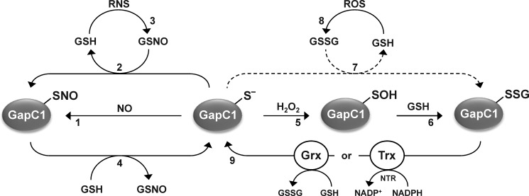 FIGURE 10.