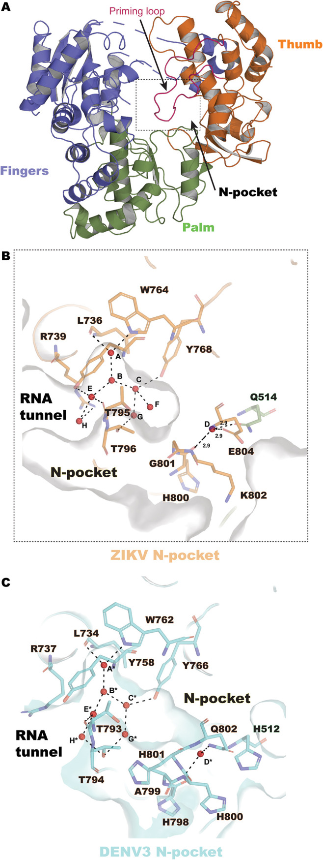 FIG 1