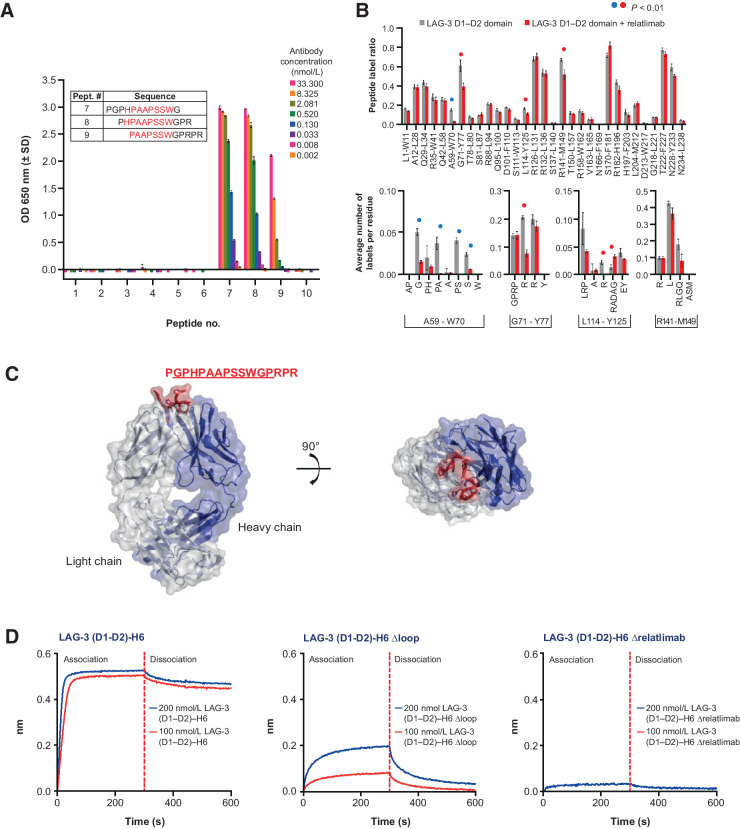 Figure 5. Relatlimab epitope characterization. A, ELISA evaluation of relatlimab binding to immobilized 12-mer peptides with 10 residue overlaps spanning the LAG-3 insertion-loop sequence. Representative example of at least three independent tests with error bars indicating SD of intra-assay technical replicates (N = 3). B, Mapping of relatlimab epitope by carbene chemical footprinting. Blue circles denote the binding site peptide A59-W70. Red circles denote nearby residues in the D1 domain with some protection but outside the physical epitope. C, X-ray structure of the LAG3.1-G4P Fab (Fab 3.1) in complex with the binding epitope peptide. Density is observed for the underlined sequence. D, Binding of hLAG-3 loop deletion variants to captured relatlimab by BLI.