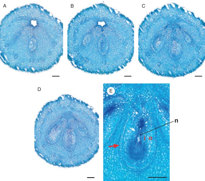 Fig. 5.