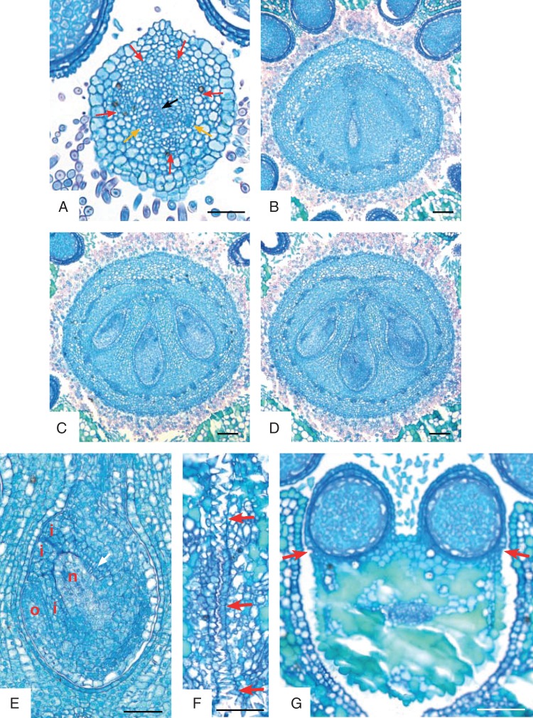 Fig. 8.