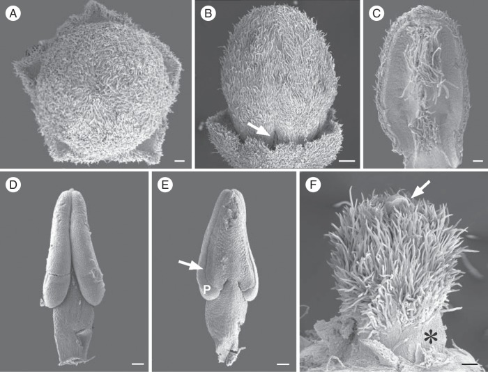 Fig. 7.