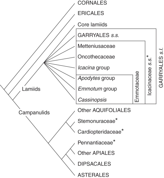 Fig. 1.