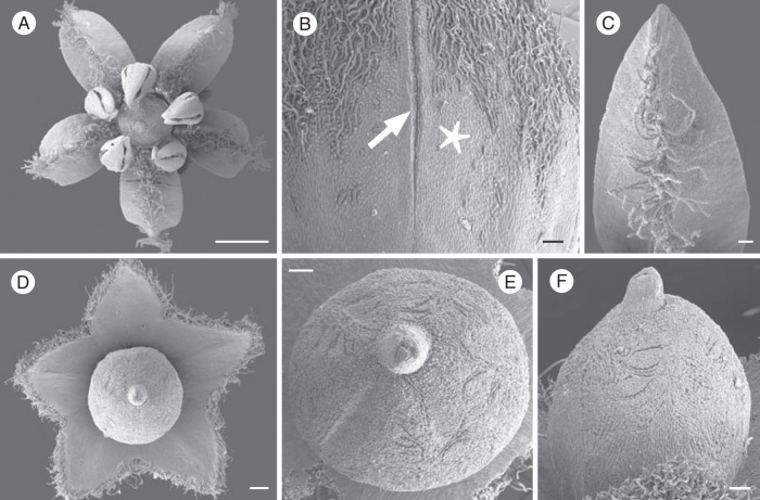 Fig. 4.