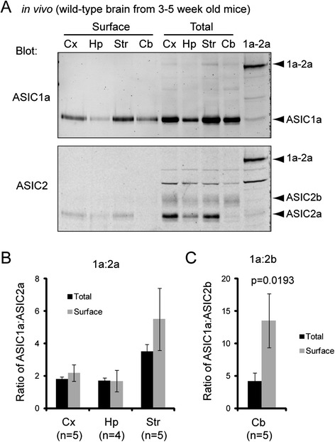 Fig. 5