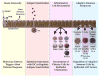 FIG 1