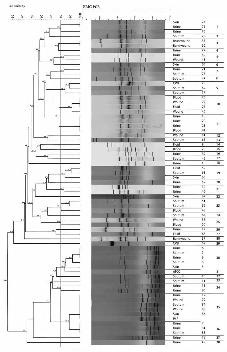 Figure 1