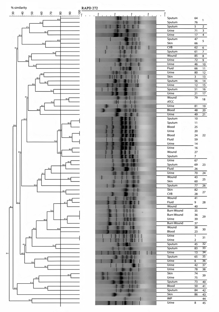 Figure 2