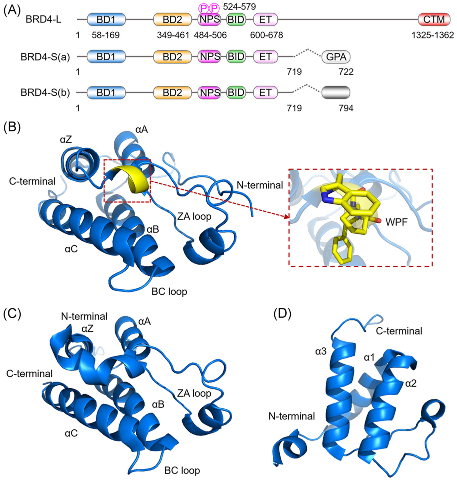 FIGURE 1