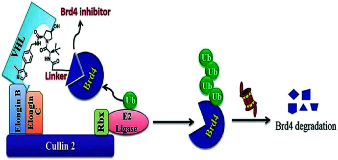 Fig. 18