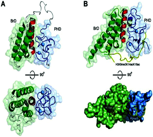 Fig. 10