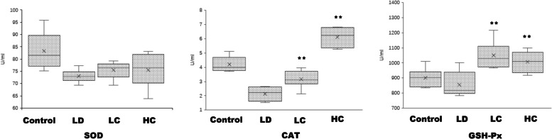 Fig. 15