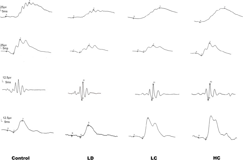 Fig. 6