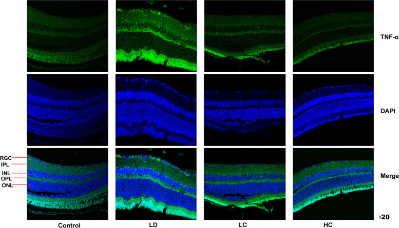 Fig. 13