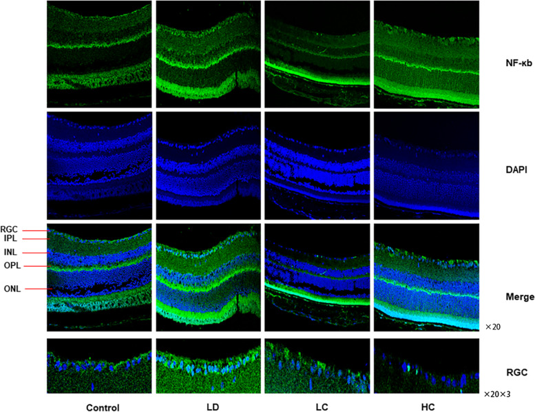 Fig. 12