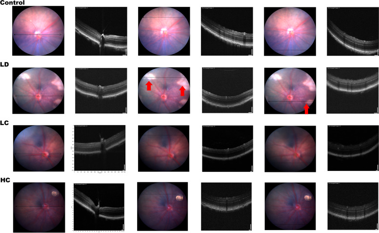 Fig. 4