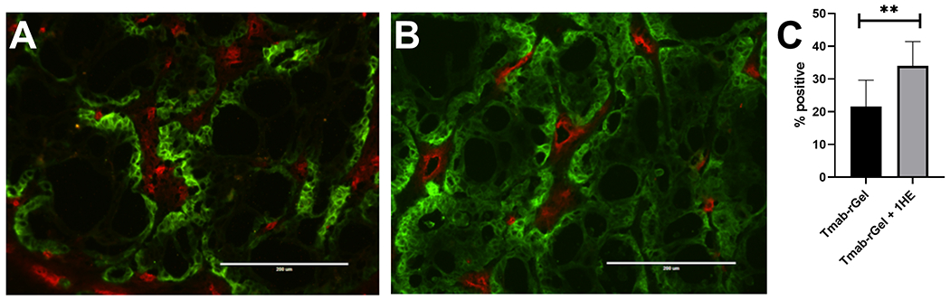 Figure 4: