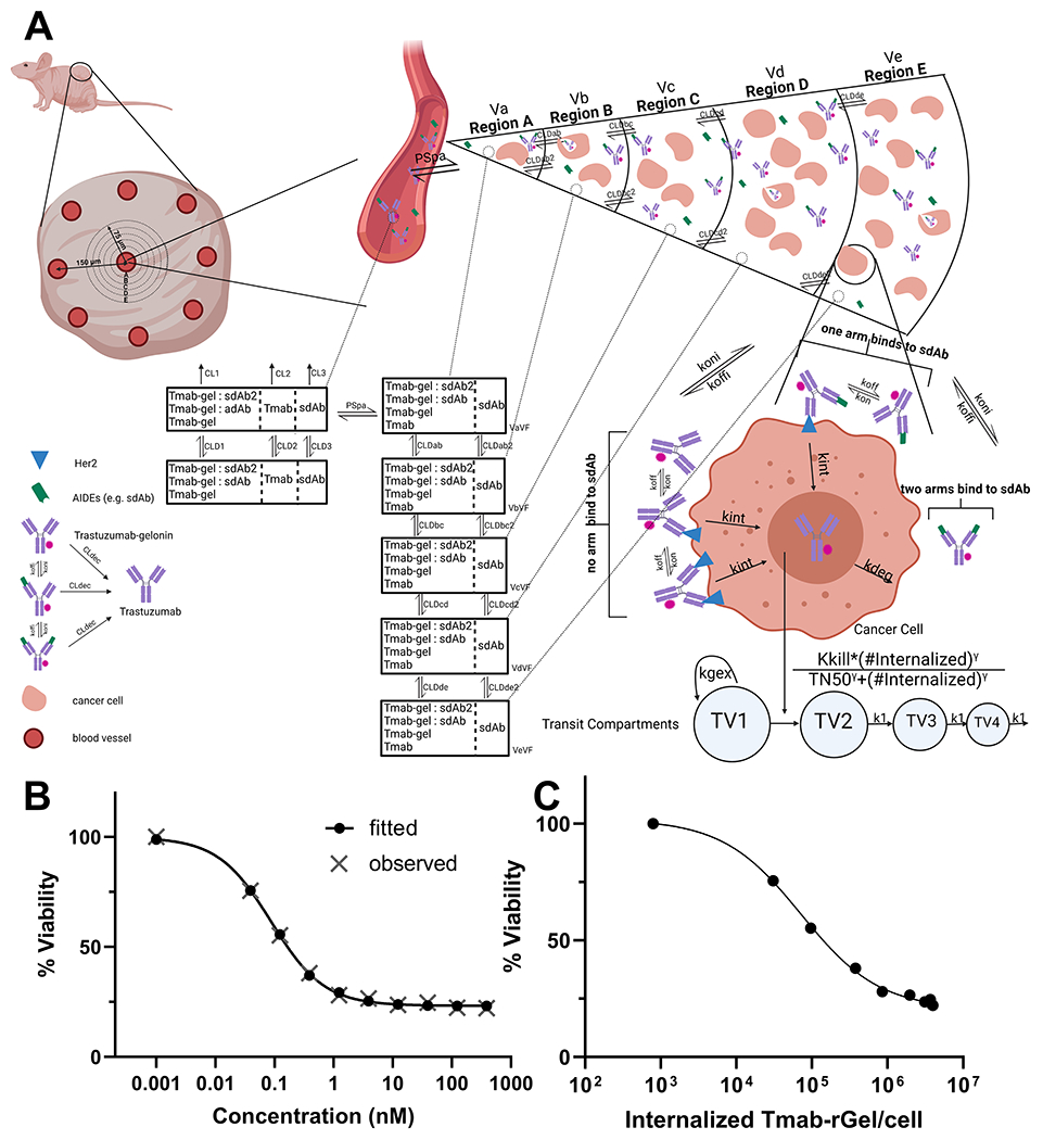 Figure 2: