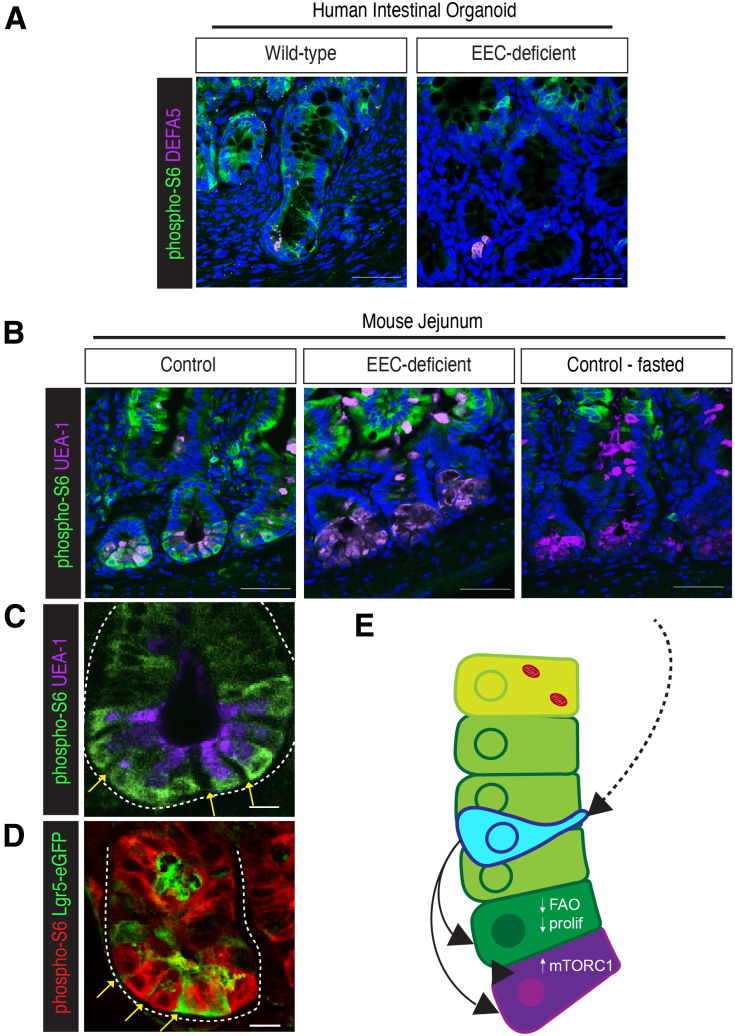 Figure 6
