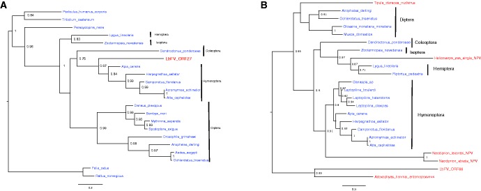 Fig. 7.—