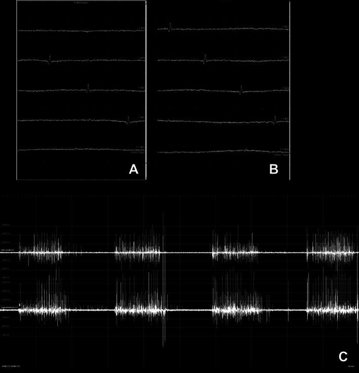 Fig. 3