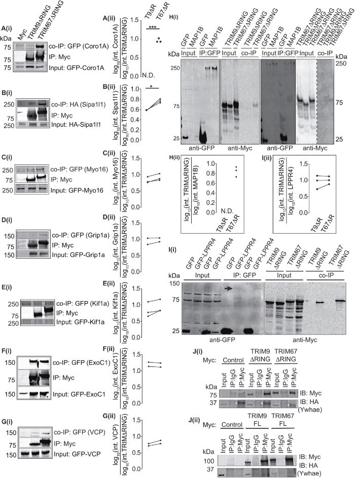 FIGURE 3: