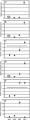 Fig. 5.
