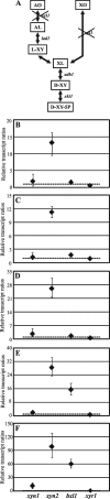 Fig. 2.