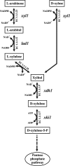 Fig. 1.
