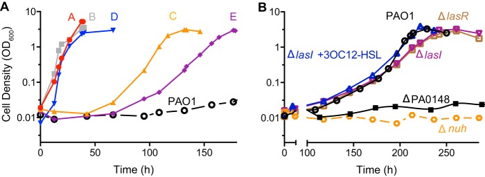 FIG 2