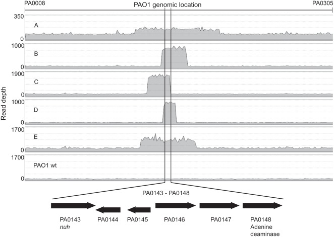 FIG 3