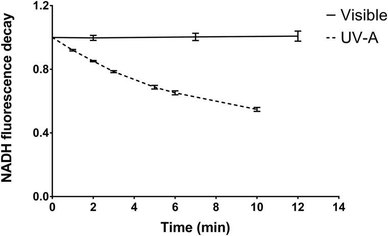 Fig. 4.