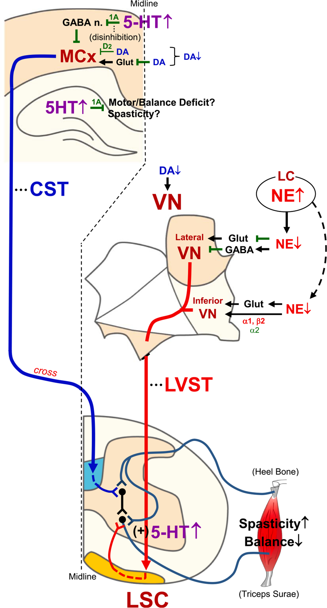 Fig. 6.