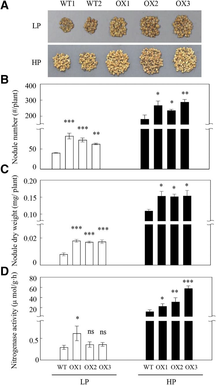 Figure 7.