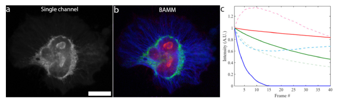 Fig. 4