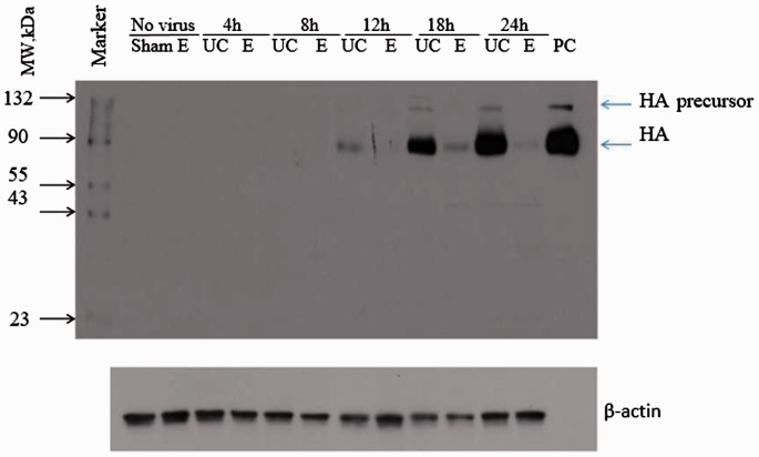 Figure 6.