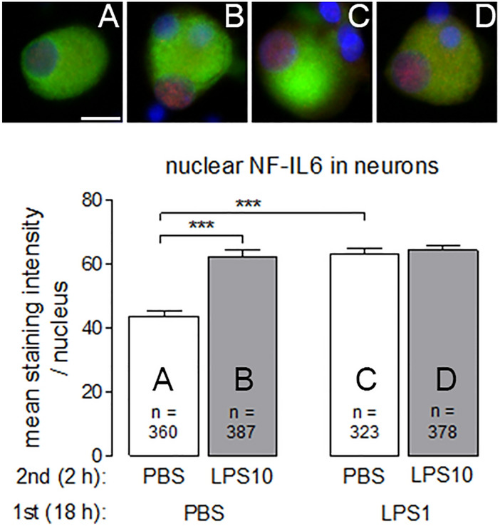 Fig. 10