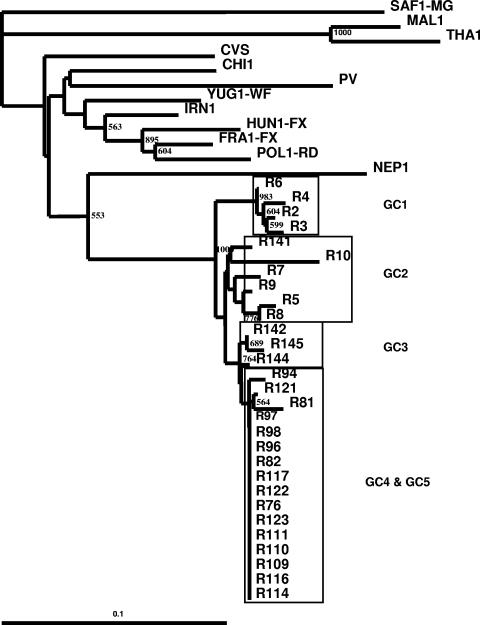 FIG. 2.