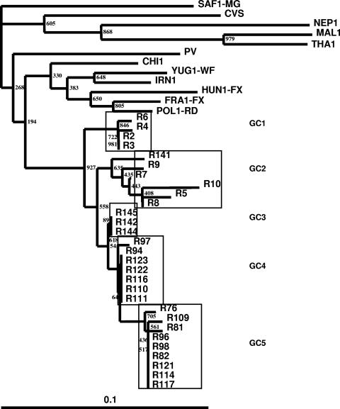 FIG. 1.