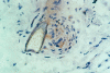 Figure 10.