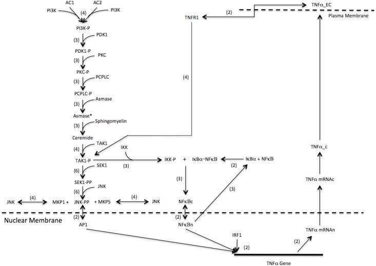 Fig 3