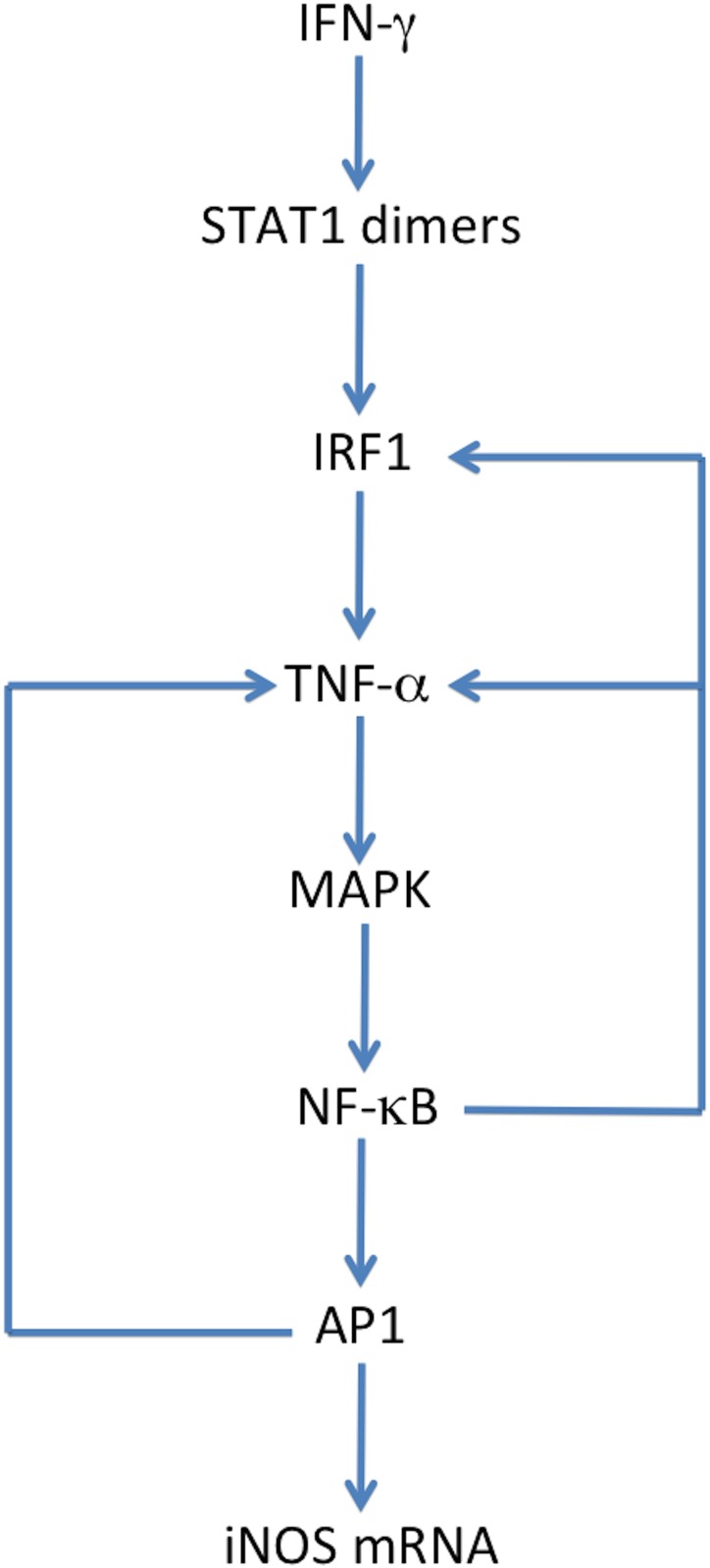 Fig 11