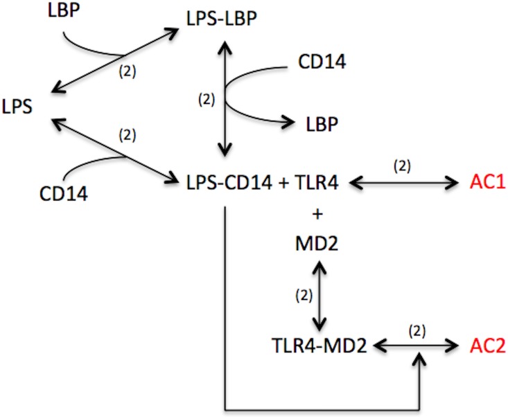 Fig 2