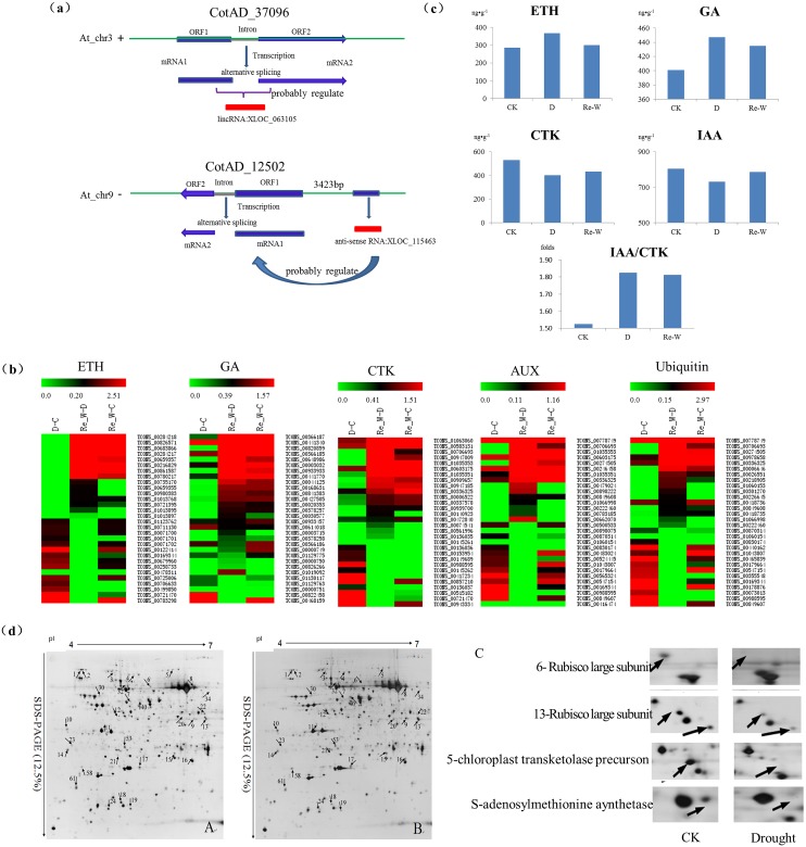 Fig 6