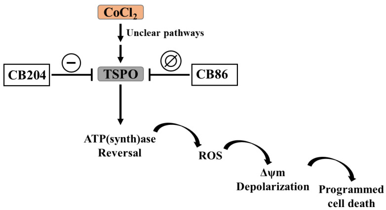 Scheme 2