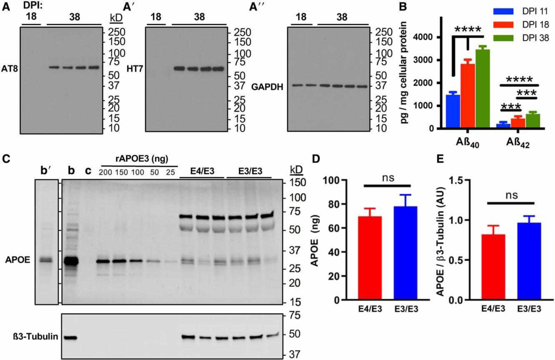 FIGURE 3: